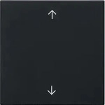 Gira 5389005 Wippe 1-fach Pfeile, System 55, schwarz matt
