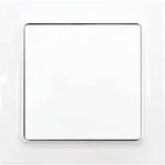 Eltako F2T55E-wg Funktaster 55x55mm batterie- und leitungslos E-Design55