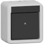 Gira 310230 Wippschalter Ausschalter 2-polig WG Aufputz, Grau