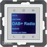 Berker 29846089 Radio Touch DAB+, Q.x, polarwei&szlig; samt