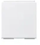 Gira 264503 Uni-Blindabdeckung mit Abdeckung Modular Jack 2-fach 30&deg; und mit