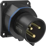 Walther Electric FW733306CC CEE NEO Anbauger&auml;testecker schr&auml;g, 32A, 3P, 6h,...