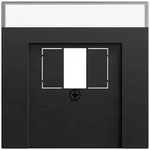 Gira 087674 Abdeckung f&uuml;r TAE und USB mit Beschriftungsfeld, System 70,...