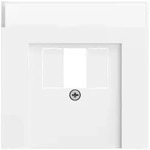 Gira 087672 Abdeckung f&uuml;r TAE und USB mit Beschriftungsfeld, System 70,...