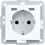 Hager WAS4055WG Schutzkontaktsteckdose mit USB Typ C 2-fach Power Delivery, 20W,