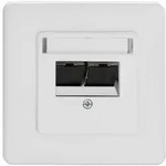 Rutenbeck 139112071 10 Gigabit-Modularanschlussdose, geschirmt, 2-fach, Unterputz,