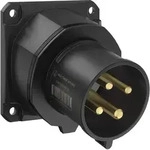 Walther Electric FW733407CC CEE NEO Anbauger&auml;testecker schr&auml;g, 32A, 4P, 7h,...