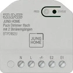 Jung BT P D1 B2 U Dimmer 1-fach mit 2 Bin&auml;reing&auml;ngen, JUNG HOME Puck