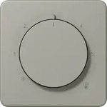Jung CD1749BFPT Abdeckung f&uuml;r Thermostat, Thermoplast lackiert, Serie CD, platin