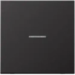 Jung AL10911STRFD KNX RF Taster 1-fach, Aluminium lackiert, Serie LS, dark