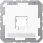 Jung A15691NAWEWW Abdeckung (gerastet) f&uuml;r Modular-Jack-Steckbuchsen, 1-fach,