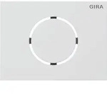 Gira 5579902 Frontplatte T&uuml;rstationsmodul, System 106, Verkehrswei&szlig; (lackiert)