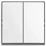 Busch-Jaeger 2601/5 J-524 Wippschalter, 2-fach, Serienschaltung, Aufputz,