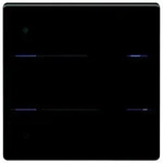 Theben 4969294 iON 104 KNX Glas-Tastsensor mit 4 Tasten und 4 Status-LEDs,