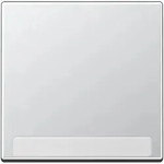 Jung A590BFNAAL 1-fach Wippe , mit Schriftfeld, Thermoplast lackiert, Serie A,