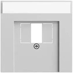 Gira 087676 Abdeckung f&uuml;r TAE und USB mit Beschriftungsfeld, System 70, grau...