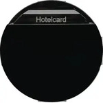 Hager WLN8010BG Relais-Schalter mit Zentralst&uuml;ck f&uuml;r Hotelcard, R.Classic,...