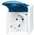 Busch-Jaeger 20 EW-53 Steckdose mit Klappdeckel, Aufputz IP44