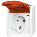 Busch-Jaeger 20 EWN-14-53 Schutzkontakt- Steckdose mit orangenem Klappdeckel,...