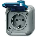 Busch-Jaeger 2300 EWSI Schutzkontakt-Steckdose,Aufputz IP44