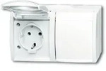 Busch-Jaeger 20/2EBW-54 Schutzkontakt-Steckdose Safety+, 2-fach waagerecht, mit