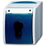 Busch-Jaeger 2712SLW-53 Schl&uuml;sselschalter Wechsel 2-polig, Aufputz, IP44