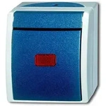 Busch-Jaeger 2601/6SKW-53 Kontrollschalter mit Glimmlampe, Aufputz IP44