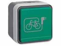 Berker 47403533 Schutzkontakt-Steckdose mit grünem Klappdeckel und Symbol E-Bike