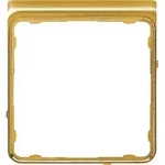 Jung CDP82GGO Applikations-Segment, CD PLUS, glanzgold (galvanisiert)