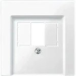 Merten 296019 Zentralplatte f&uuml;r TAE/Audio/USB, System M, polarwei&szlig; gl&auml;nzend