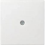 Gira 027403 Abdeckung Schnurableitung und Fernmeldeverbinderdose, System 55,