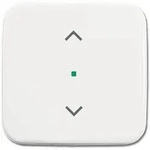 Busch-Jaeger 6232-10-214 Wippe 1-fach mit Symbol Jalousie