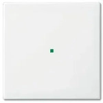 Busch-Jaeger 6230-10-914 Wippe 1-fach ohne Bedruckung