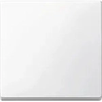 Merten 434119 Wippe, System M, polarwei&szlig;