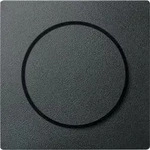 Merten MEG5250-0414 Zentralplatte mit Drehknopf, System M, anthrazit
