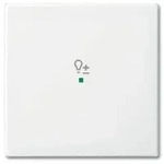 Busch-Jaeger 6234-10-914 Wippe 1-fach mit Symbol Dimmer