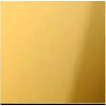 Jung GO2990 Wippe, Metall goldfarben PVD-beschichtet, Serie LS, goldfarben