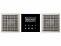 Jung DABES2 Smart Radio DAB+, Set Stereo