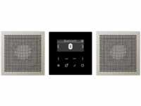 Jung DABES2BT Smart Radio DAB+ mit Bluetooth Set Stereo