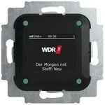 Busch-Jaeger 8215 U-101 Busch-Radio mit DAB+ und RDS-Stereo-Radiowecker, UP