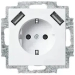 Busch-Jaeger 20 EUCB2USB-914 Schutzkontakt-/USB-Steckdose, 2x USB, mit