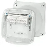 Hensel DK0606G Kabelabzweigkasten IP66, 130 x 130 x 77 mm, mit 5-poliger Klemme