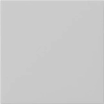Gira 5372015 Wippe 1-fach unbedruckt, System 55, grau matt