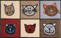 wash+dry by Kleen-Tex Fu&szlig;matte "Miau Miau" rechteckig 7 mm H&ouml;he...