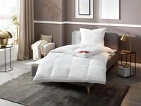 RIBECO Federbettdecke "Bettdecke in 135x200 und 155x220cm Topseller," extrawarm