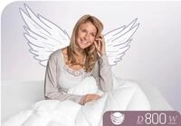 Schlafstil G&auml;nsedaunenbettdecke "D800" warm F&uuml;llung 100% G&auml;nsedaunen 1 Stk....