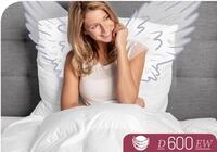 Schlafstil G&auml;nsedaunenbettdecke "D600" extrawarm F&uuml;llung 100Gaensedaunen 1...
