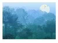KOMAR Vliestapete "Deep in the Jungle" Tapeten 400x280 cm (Breite x Höhe) Gr. B/L: