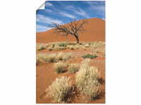 Artland Wandbild "Namib-Wüste 2", Afrika, (1 St.), als Leinwandbild, Poster in