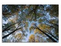 Wandbild ARTLAND "Herbst im Wald" Bilder Gr. B/H: 80 cm x 120 cm, Leinwandbild...